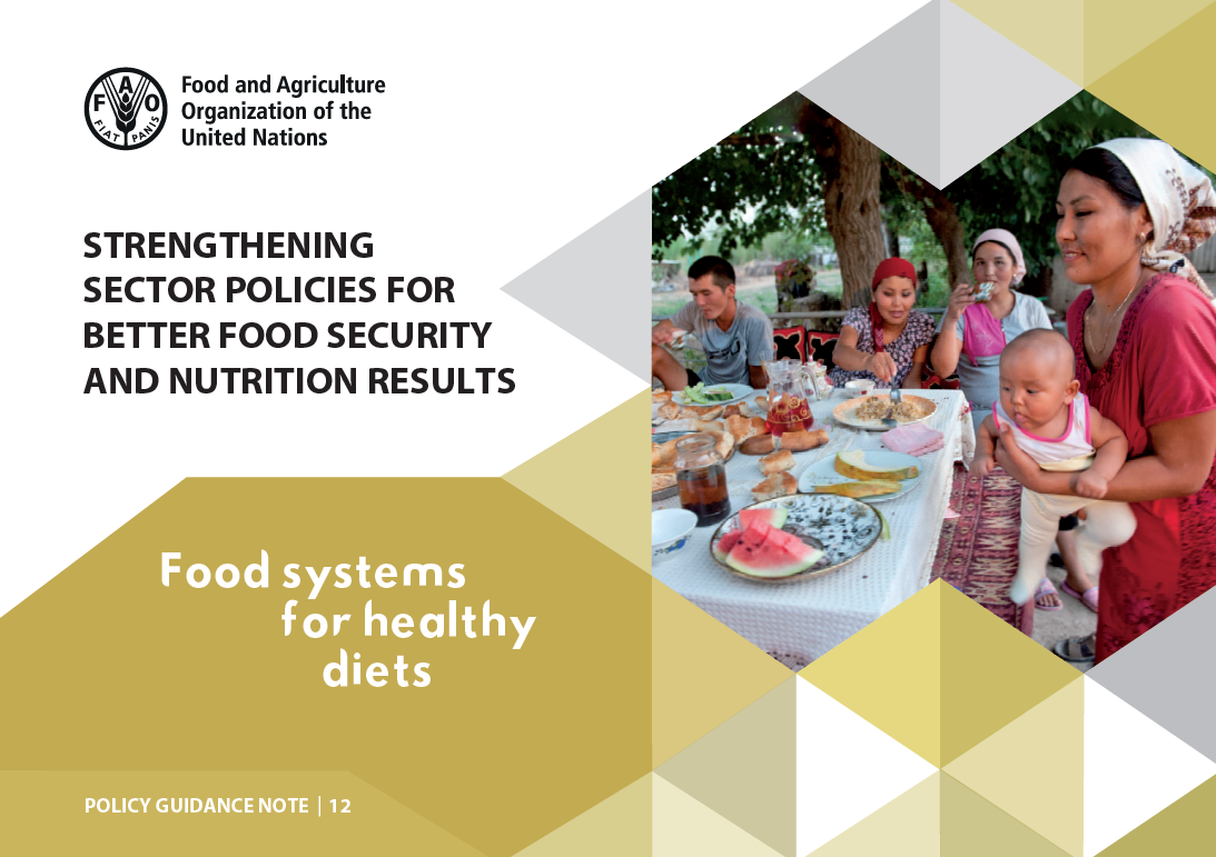 Strengthening Sector Policies for Better Food Security and Nutrition